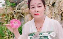 成品网站W灬源码1688伊甫园